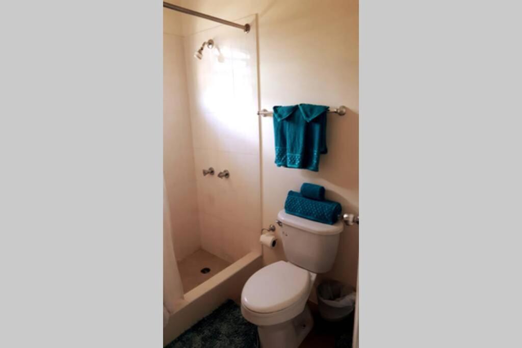 Bing'S Home Away From Home Ocho Rios Ngoại thất bức ảnh
